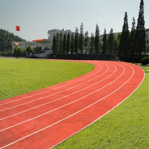 廣東培正學(xué)院_戶外運(yùn)動地面案例_廣東