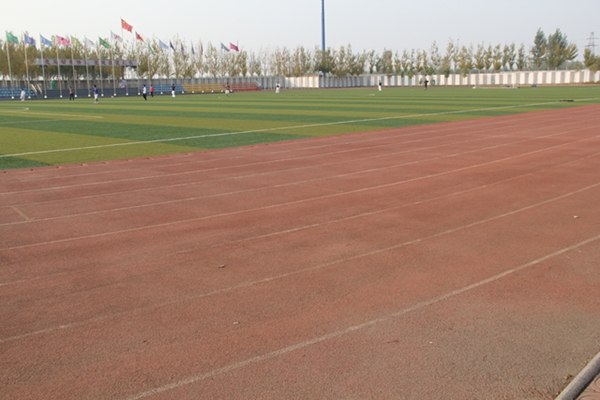 唐山市灤南縣英才紅軍學校