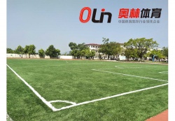 廣東省惠州市博羅楊僑中心小學(xué)運動場_戶外運動地面案例_廣東