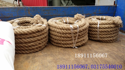 DF01拔河繩實景三