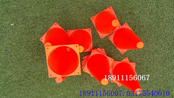 小號標(biāo)志桶實(shí)圖二