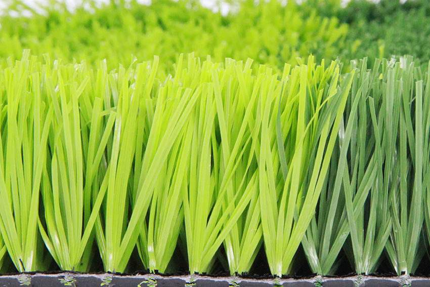 運(yùn)動草坪-足球場-2D加莖單絲人造草A35041652D11001/1E(圖文) 運(yùn)動草坪-足球場-2D加莖單絲人造草A35041652D11001/1E(圖文)