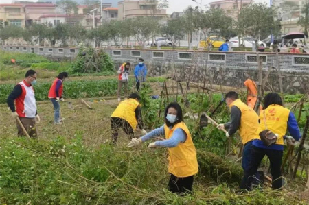 南區(qū)街道：親子家庭開展志愿服務(wù)，感受傳統(tǒng)農(nóng)耕文化魅力