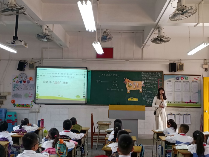 陳曉妍 公開(kāi)課圖片1.jpg