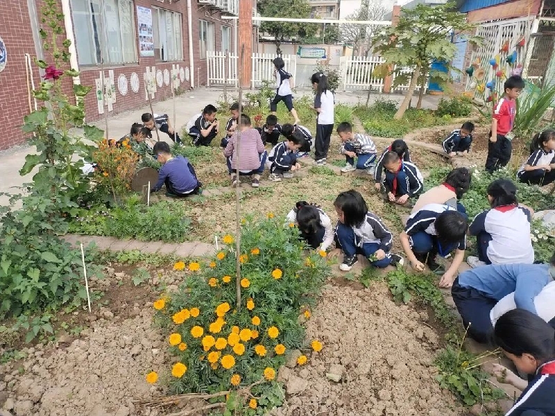 1678675341633095618.jpg 1678675341633095618.jpg