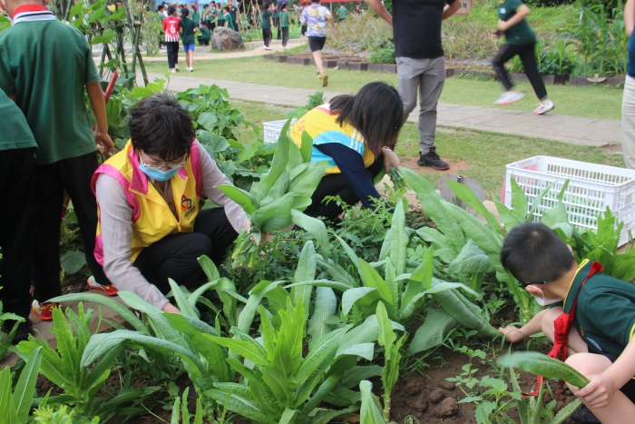 20220428神灣中心小學(xué)綜合實踐勞動課程展示暨豐收節(jié)專題活動照片 (2).jpg
