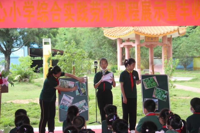 20220428神灣中心小學(xué)綜合實踐勞動課程展示暨豐收節(jié)專題活動照片 (7).jpg