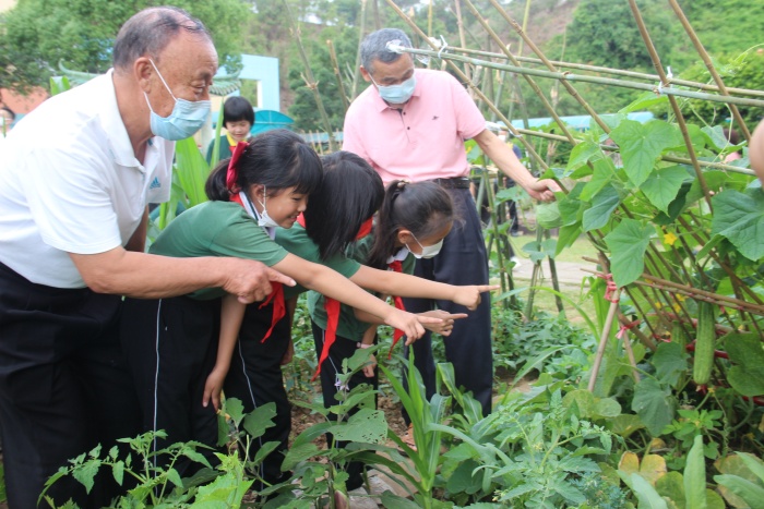20220428神灣中心小學(xué)綜合實踐勞動課程展示暨豐收節(jié)專題活動照片 (1).jpg