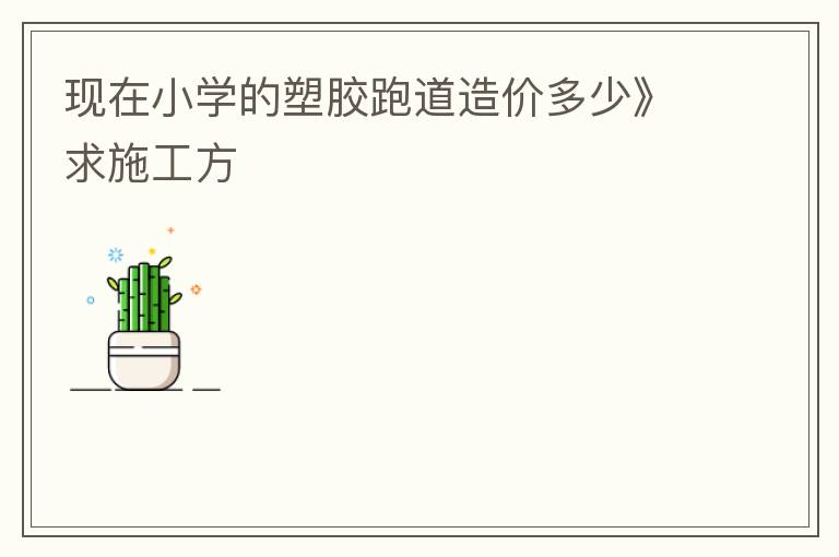 現(xiàn)在小學的塑膠跑道造價多少》求施工方