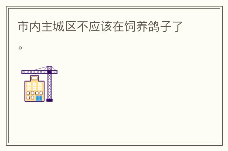 市內主城區(qū)不應該在飼養(yǎng)鴿子了。