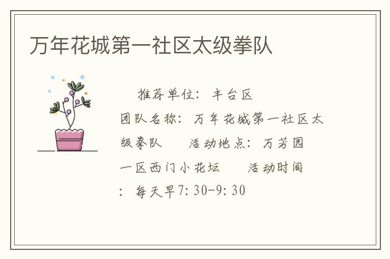 萬年花城第一社區(qū)太級拳隊(duì)