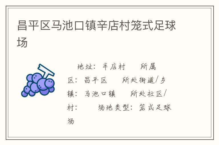 昌平區(qū)馬池口鎮(zhèn)辛店村籠式足球場(chǎng)