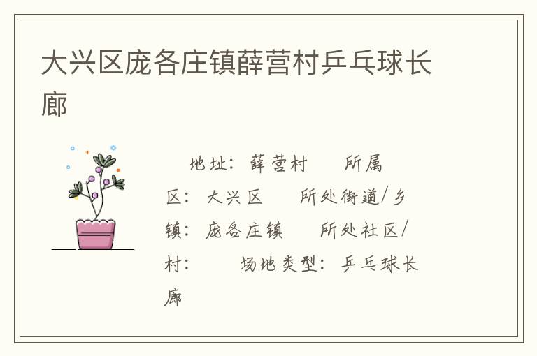 大興區(qū)龐各莊鎮(zhèn)薛營村乒乓球長廊