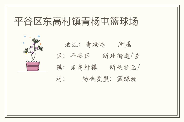 平谷區(qū)東高村鎮(zhèn)青楊屯籃球場(chǎng)