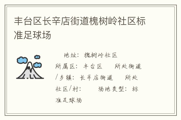 豐臺區(qū)長辛店街道槐樹嶺社區(qū)標準足球場