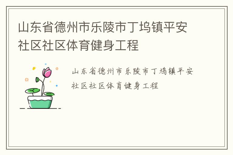 山東省德州市樂陵市丁塢鎮(zhèn)平安社區(qū)社區(qū)體育健身工程