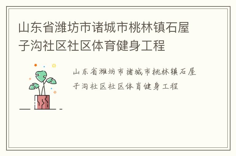 山東省濰坊市諸城市桃林鎮(zhèn)石屋子溝社區(qū)社區(qū)體育健身工程