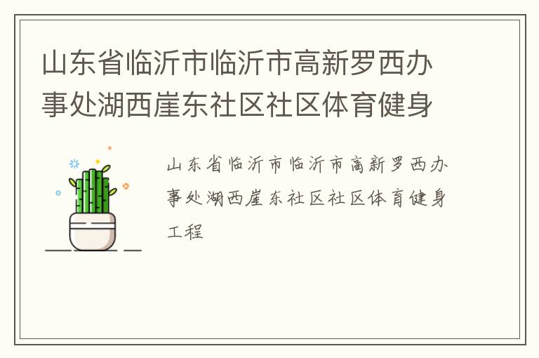 山東省臨沂市臨沂市高新羅西辦事處湖西崖東社區(qū)社區(qū)體育健身工程