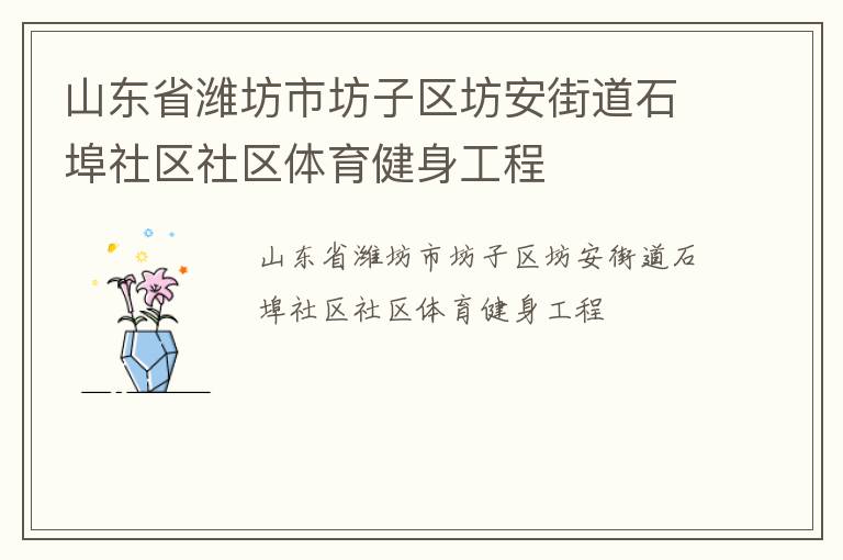 山東省濰坊市坊子區(qū)坊安街道石埠社區(qū)社區(qū)體育健身工程