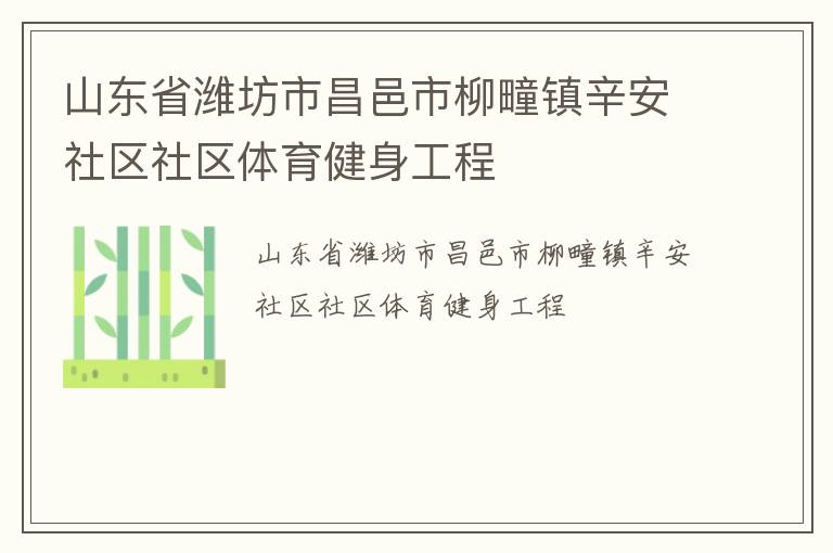 山東省濰坊市昌邑市柳疃鎮(zhèn)辛安社區(qū)社區(qū)體育健身工程