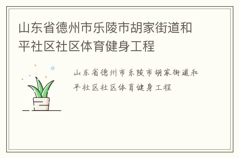 山東省德州市樂陵市胡家街道和平社區(qū)社區(qū)體育健身工程