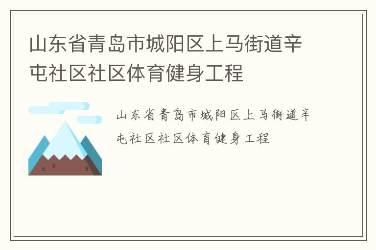 山東省青島市城陽區(qū)上馬街道辛屯社區(qū)社區(qū)體育健身工程