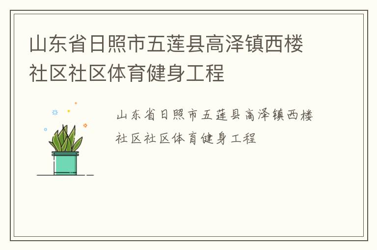 山東省日照市五蓮縣高澤鎮(zhèn)西樓社區(qū)社區(qū)體育健身工程