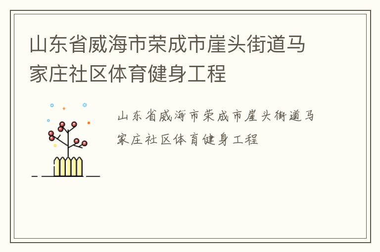 山東省威海市榮成市崖頭街道馬家莊社區(qū)體育健身工程