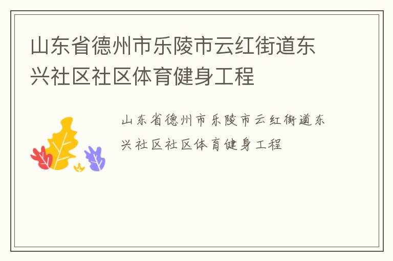 山東省德州市樂陵市云紅街道東興社區(qū)社區(qū)體育健身工程