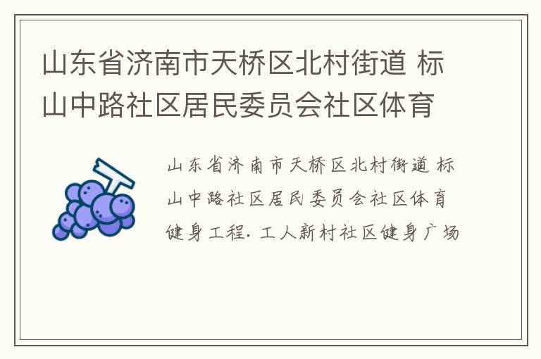 山東省濟(jì)南市天橋區(qū)北村街道 標(biāo)山中路社區(qū)居民委員會社區(qū)體育健身工程.工人新村社區(qū)健身廣場