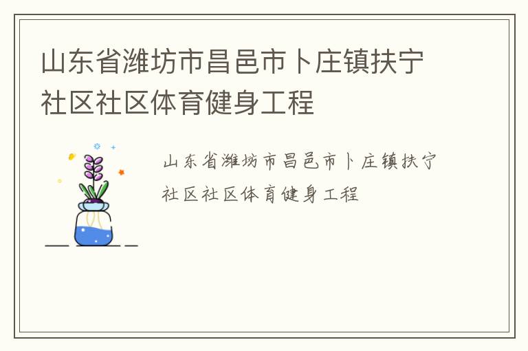 山東省濰坊市昌邑市卜莊鎮(zhèn)扶寧社區(qū)社區(qū)體育健身工程