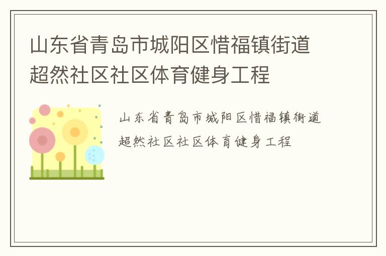 山東省青島市城陽(yáng)區(qū)惜福鎮(zhèn)街道超然社區(qū)社區(qū)體育健身工程