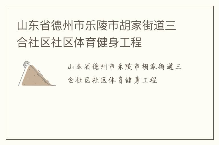 山東省德州市樂(lè)陵市胡家街道三合社區(qū)社區(qū)體育健身工程