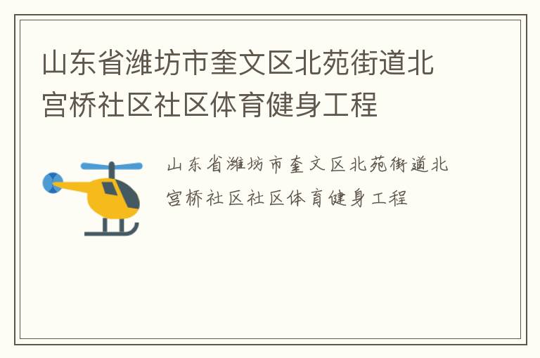 山東省濰坊市奎文區(qū)北苑街道北宮橋社區(qū)社區(qū)體育健身工程