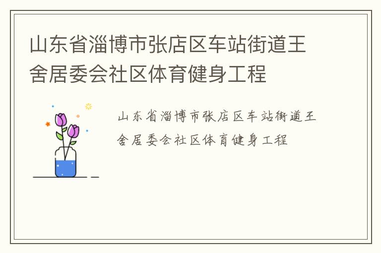 山東省淄博市張店區(qū)車站街道王舍居委會(huì)社區(qū)體育健身工程