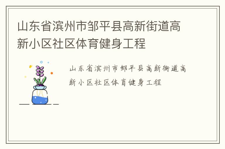 山東省濱州市鄒平縣高新街道高新小區(qū)社區(qū)體育健身工程