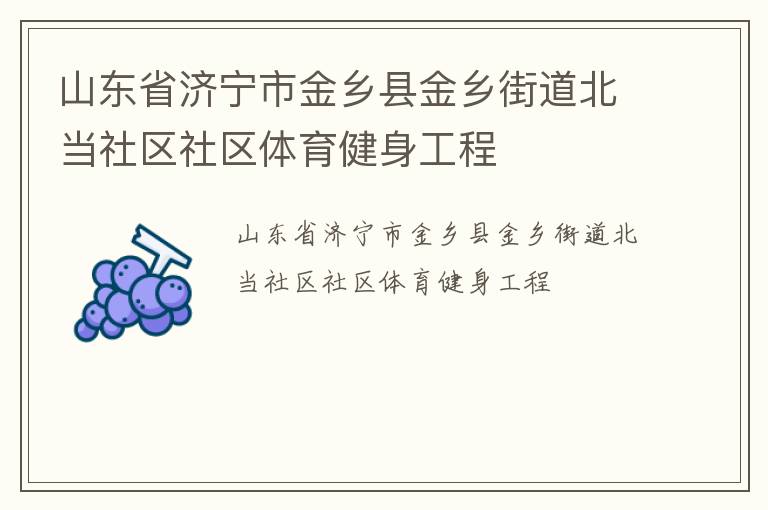 山東省濟(jì)寧市金鄉(xiāng)縣金鄉(xiāng)街道北當(dāng)社區(qū)社區(qū)體育健身工程