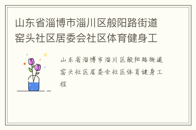 山東省淄博市淄川區(qū)般陽路街道窯頭社區(qū)居委會(huì)社區(qū)體育健身工程