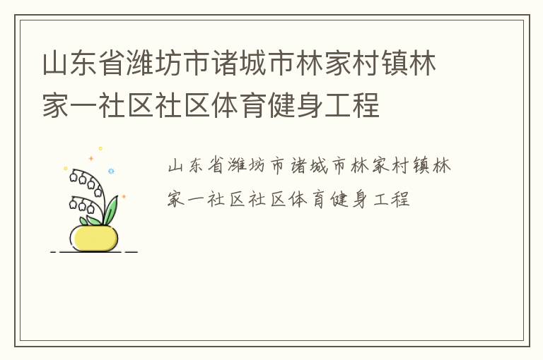 山東省濰坊市諸城市林家村鎮(zhèn)林家一社區(qū)社區(qū)體育健身工程