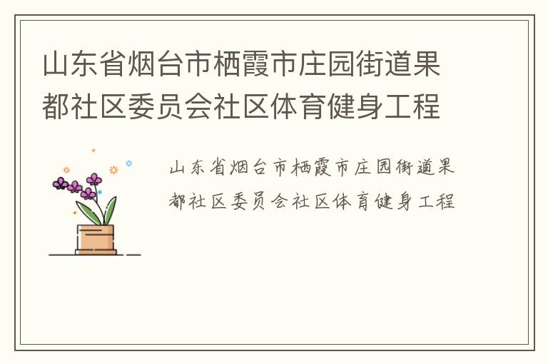 山東省煙臺市棲霞市莊園街道果都社區(qū)委員會社區(qū)體育健身工程