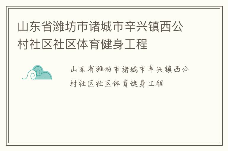 山東省濰坊市諸城市辛興鎮(zhèn)西公村社區(qū)社區(qū)體育健身工程