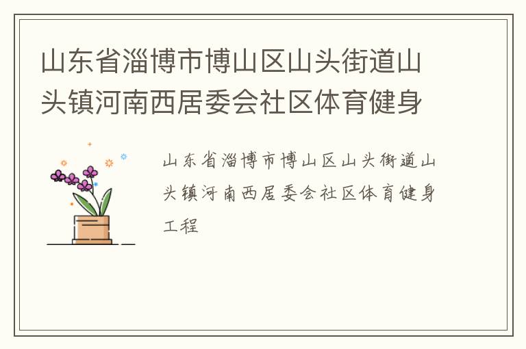 山東省淄博市博山區(qū)山頭街道山頭鎮(zhèn)河南西居委會(huì)社區(qū)體育健身工程