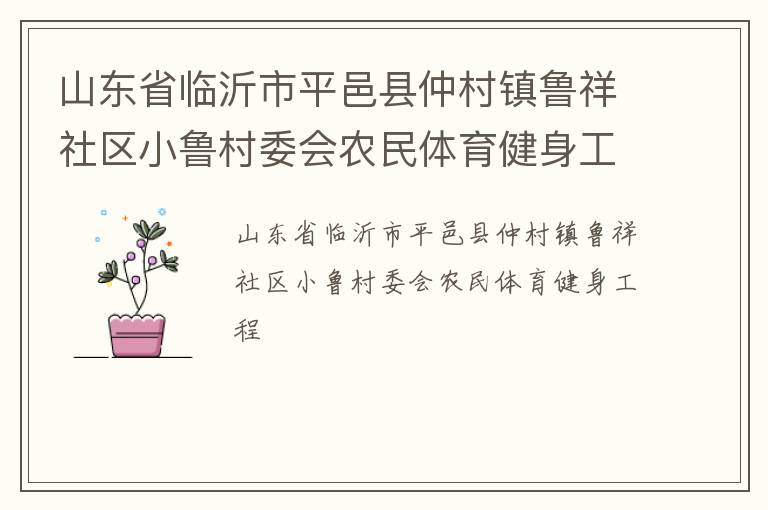 山東省臨沂市平邑縣仲村鎮(zhèn)魯祥社區(qū)小魯村委會(huì)農(nóng)民體育健身工程