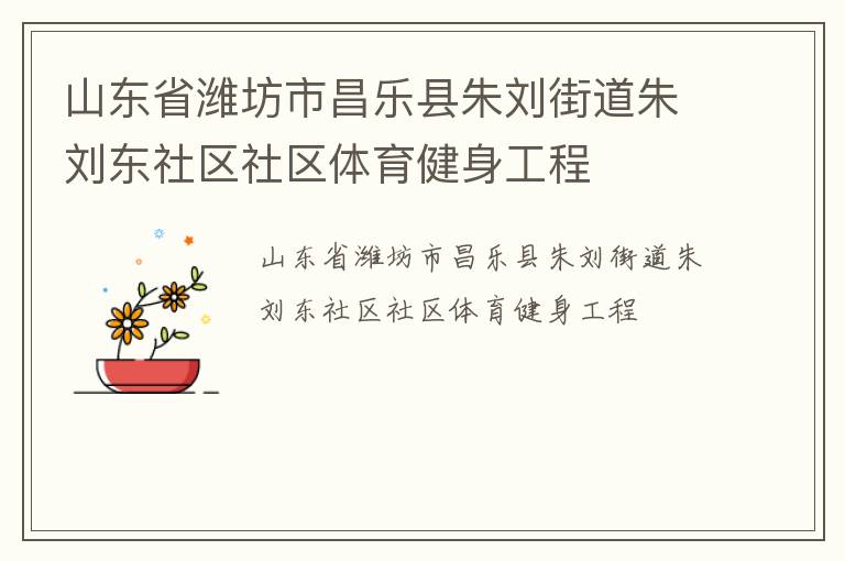 山東省濰坊市昌樂縣朱劉街道朱劉東社區(qū)社區(qū)體育健身工程