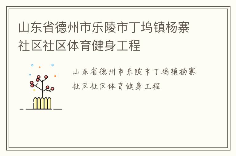 山東省德州市樂陵市丁塢鎮(zhèn)楊寨社區(qū)社區(qū)體育健身工程