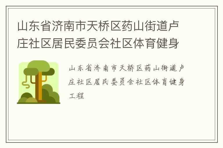 山東省濟(jì)南市天橋區(qū)藥山街道盧莊社區(qū)居民委員會社區(qū)體育健身工程