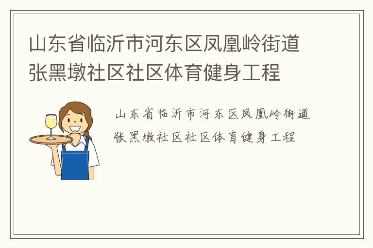 山東省臨沂市河?xùn)|區(qū)鳳凰嶺街道張黑墩社區(qū)社區(qū)體育健身工程