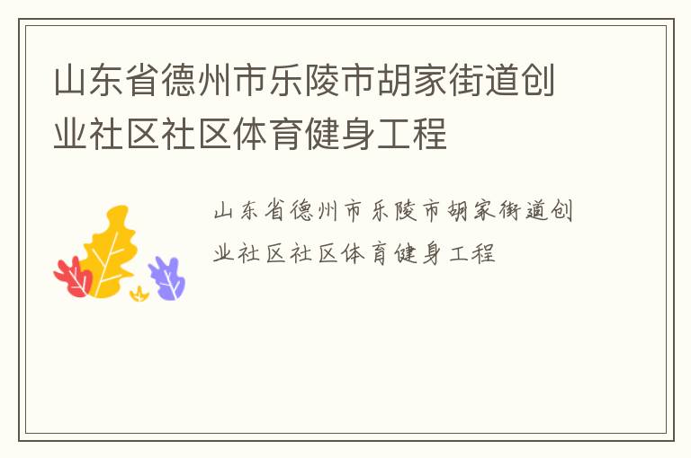 山東省德州市樂陵市胡家街道創(chuàng)業(yè)社區(qū)社區(qū)體育健身工程