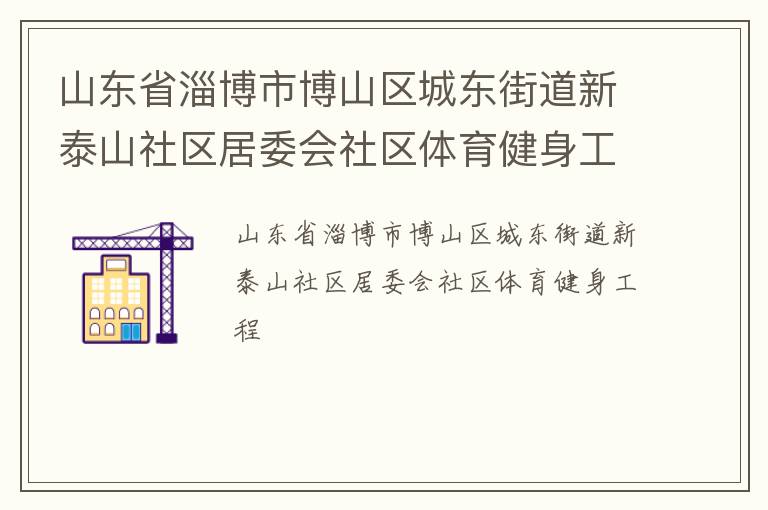 山東省淄博市博山區(qū)城東街道新泰山社區(qū)居委會社區(qū)體育健身工程
