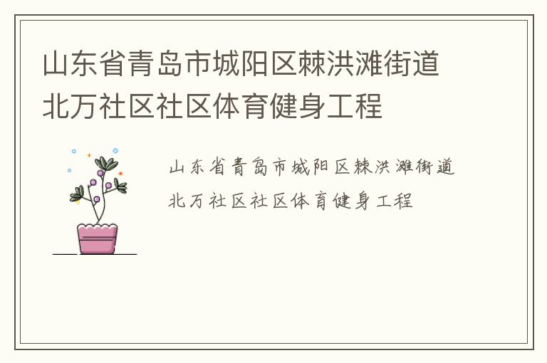 山東省青島市城陽區(qū)棘洪灘街道北萬社區(qū)社區(qū)體育健身工程